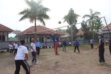 volly 7
