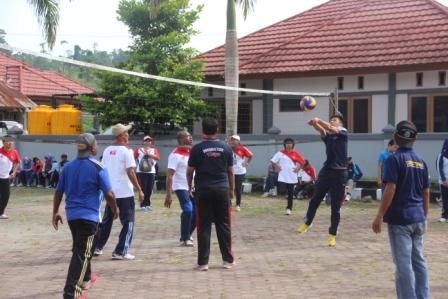 volly 8